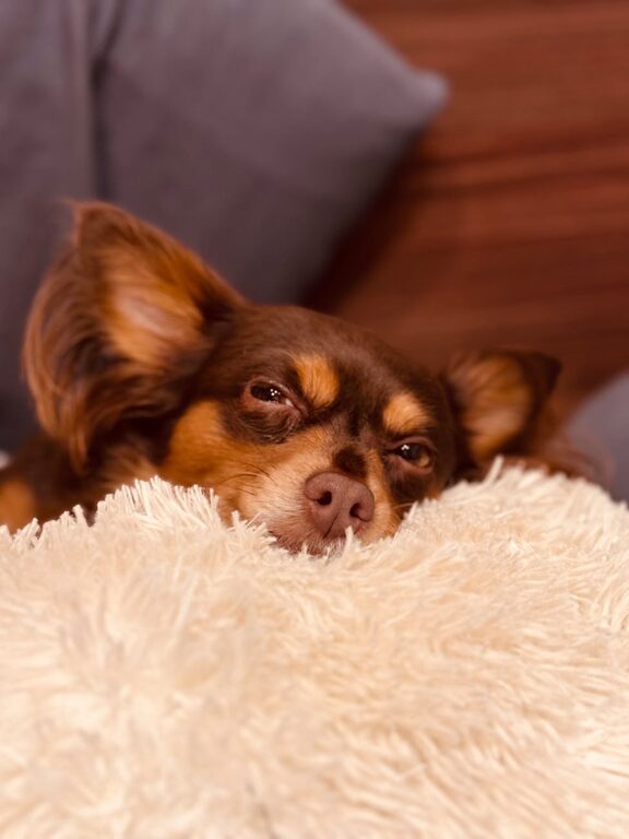 How to Rotate and Care for Bedding Properly for a Better Night’s Sleep